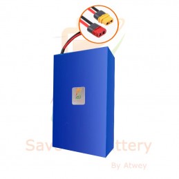 Batterie-Elektroroller-48V-31,5Ah-1512Wh-SpeedWay IV