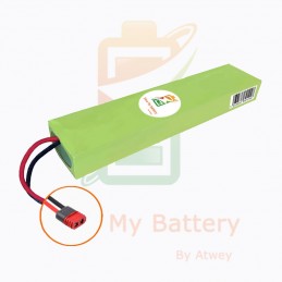 Batterie-Original-Elektroroller-24V 8Ah-Öko-Licht