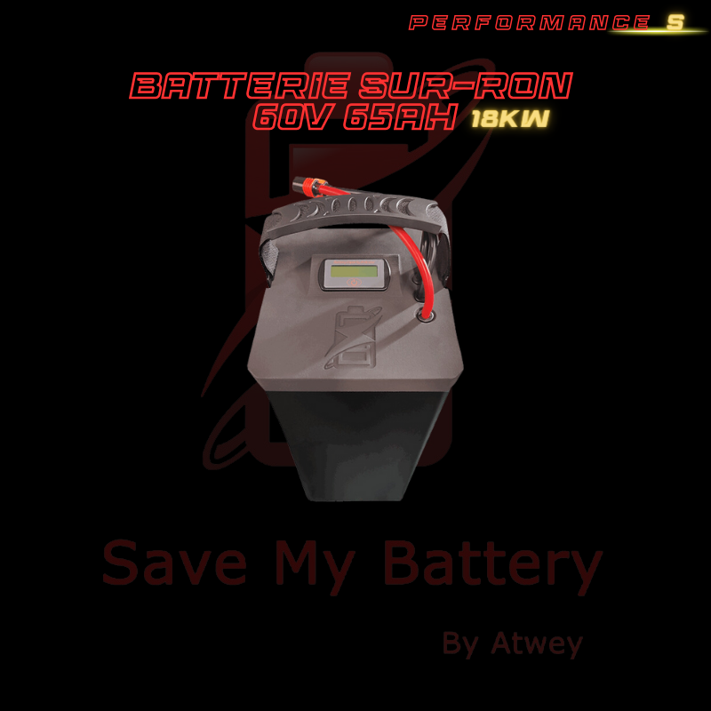 Battery Performance (s) 60V 65AH SUR-RON LIGHT BEE