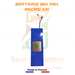 Batería-trottinette-electric-36v-7ah-micro-x21