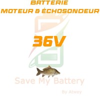 Batterie 36V pêche moteur et échosondeur lithium - Save My Battery