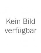 Leistung (M)